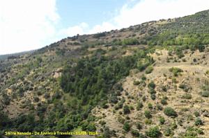 24 SIERRA NEVADA DE UGIJAR A TREVELEZ (106)